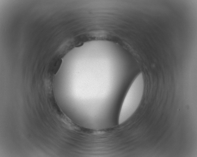 X0000083050609200702021012