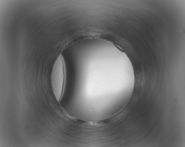 X0000083050623200702021012