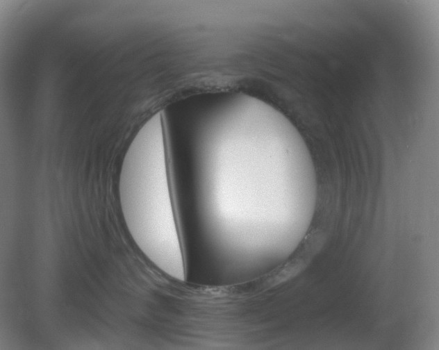 X0000083050624200702021012