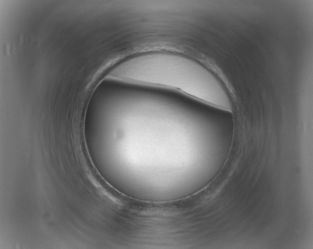 X0000083050625200702021011