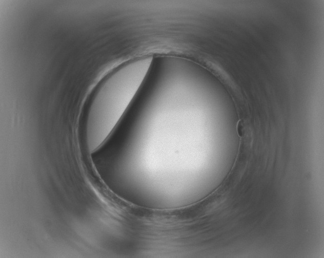 X0000083050626200702021011