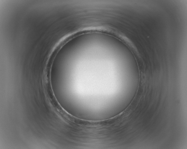 X0000083050628200702021011