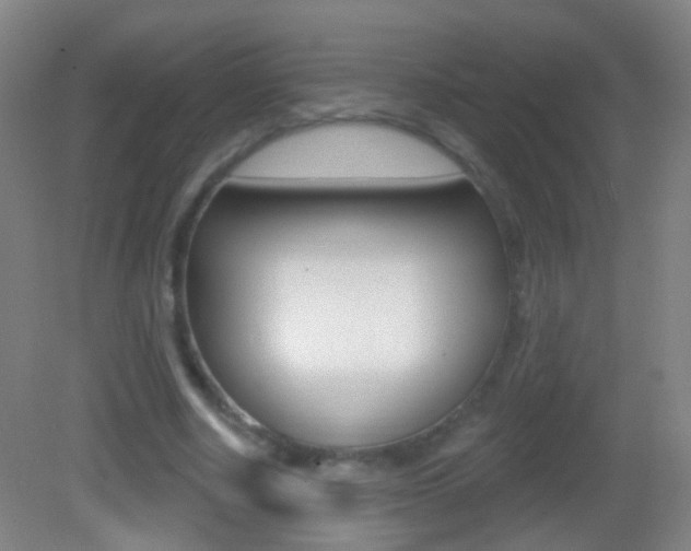 X0000083050634200702021011