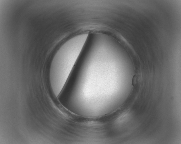 X0000083050637200702021011