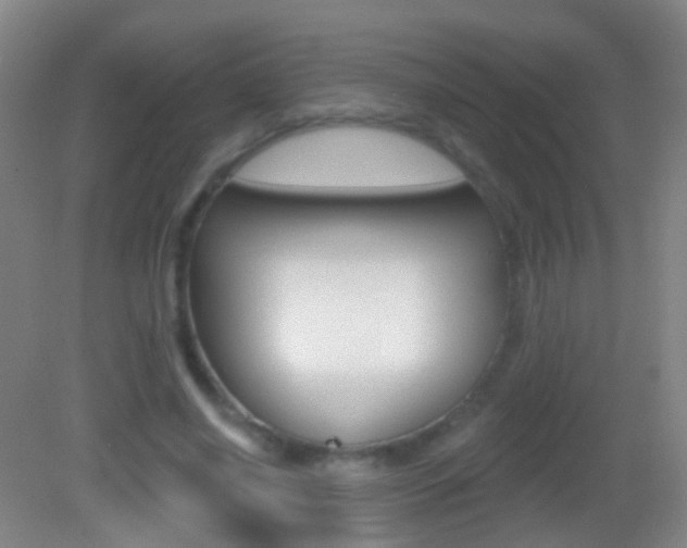 X0000083050638200702021011