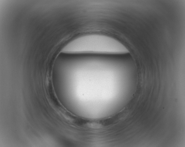 X0000083050644200702021011