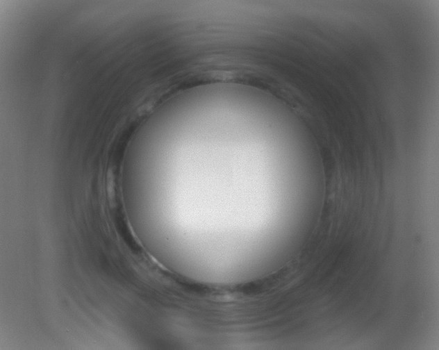X0000083050646200702021011