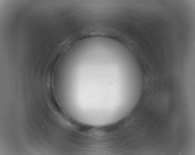 X0000083050648200702021011