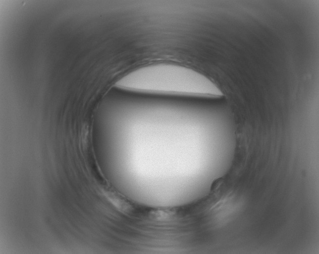 X0000083050660200702021011