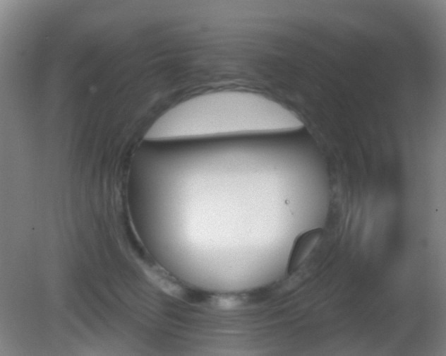 X0000083050662200702021011