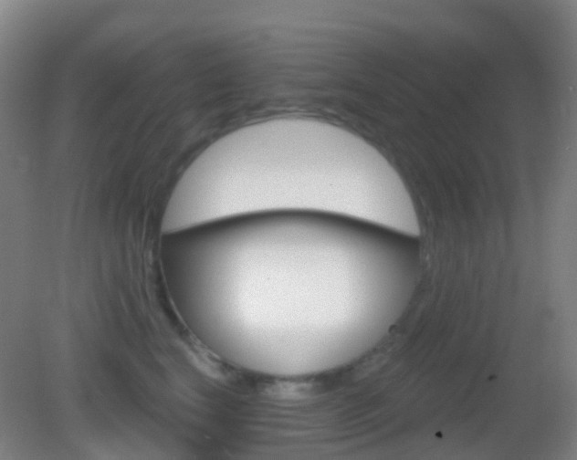 X0000083050664200702021011