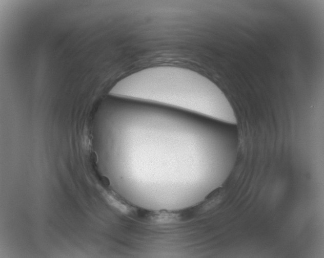 X0000083050670200702021011