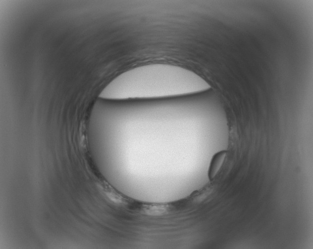 X0000083050671200702021012