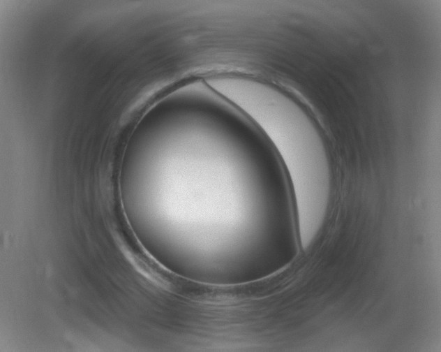 X0000083050677200702021011
