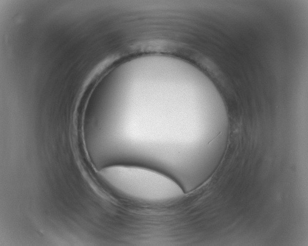 X0000083050678200702021011