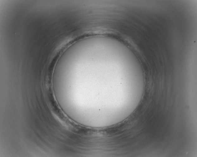 X0000083050683200702021011