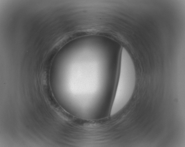 X0000083050689200702021010