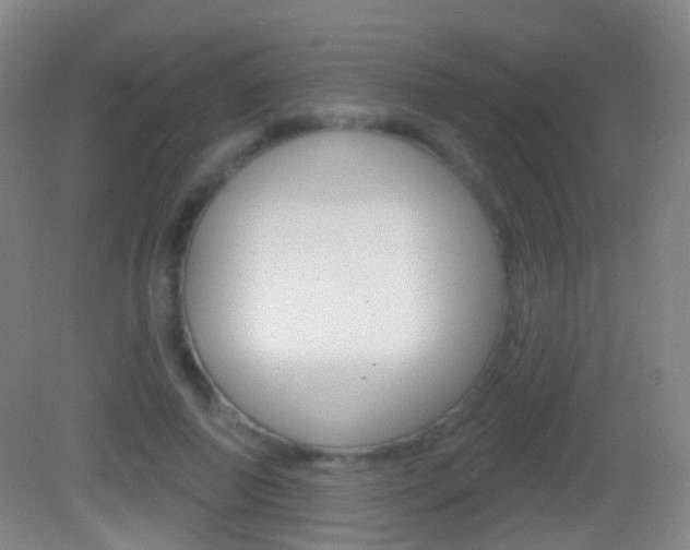 X0000083050690200702021010