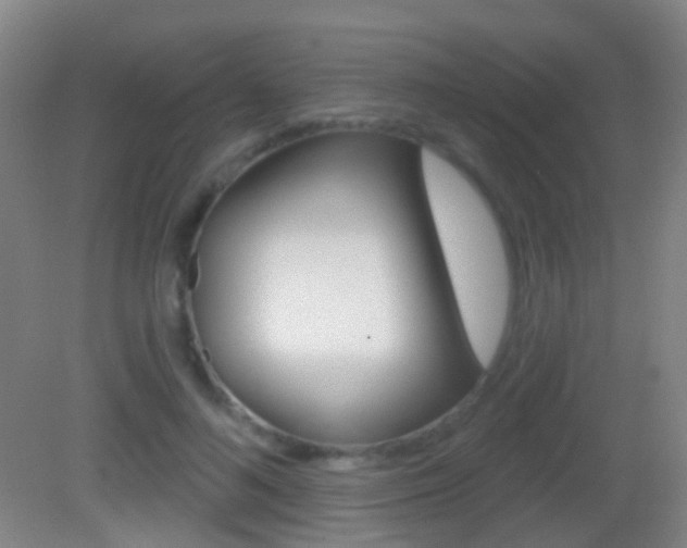 X0000083050692200702021010