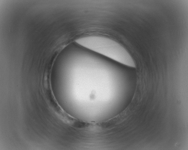 X0000083050696200702021010