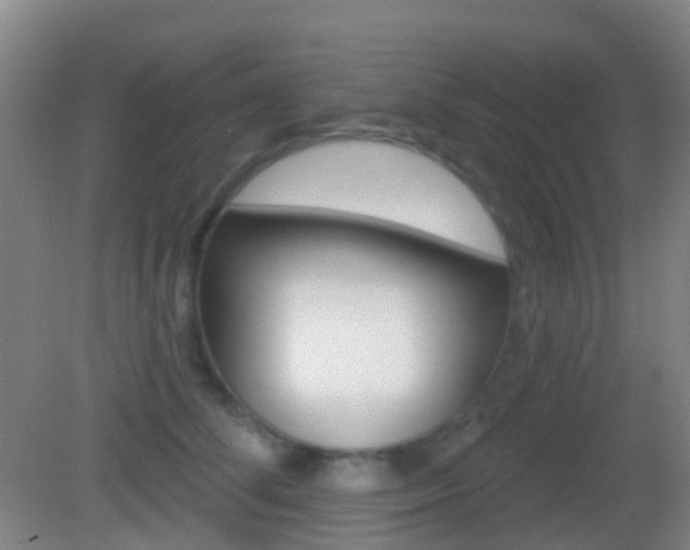 X0000083050708200702021010