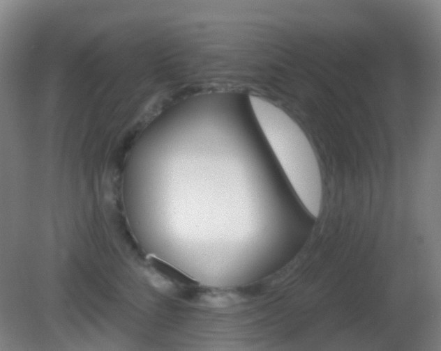 X0000083050712200702021010