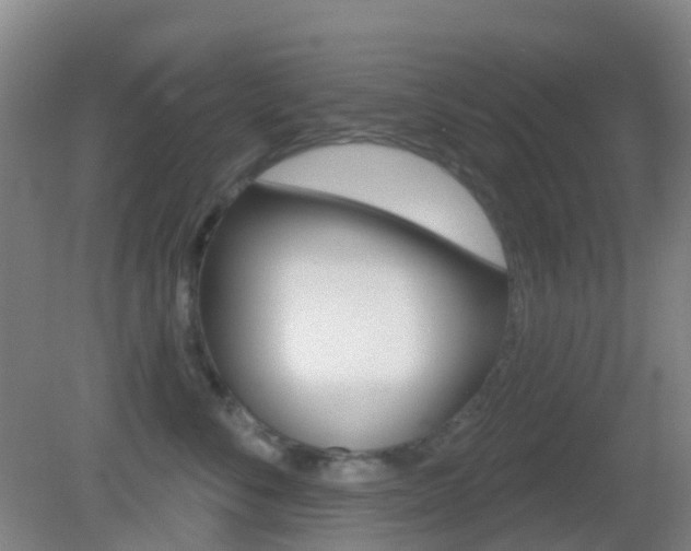 X0000083050716200702021010