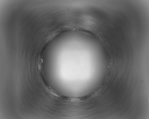 X0000083050719200702021010
