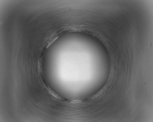 X0000083050720200702021010