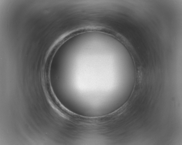 X0000083050726200702021009