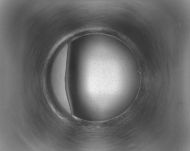 X0000083050728200702021009