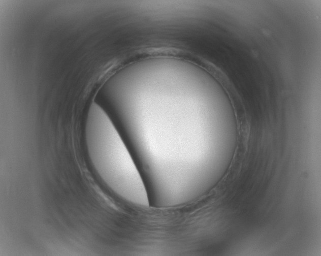 X0000083050729200702021009