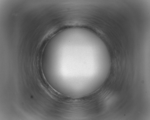 X0000083050735200702021009