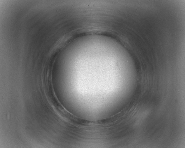 X0000083050742200702021009