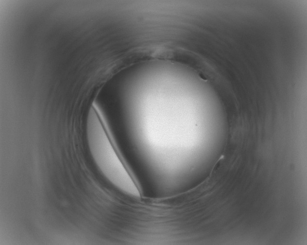 X0000083050748200702021010