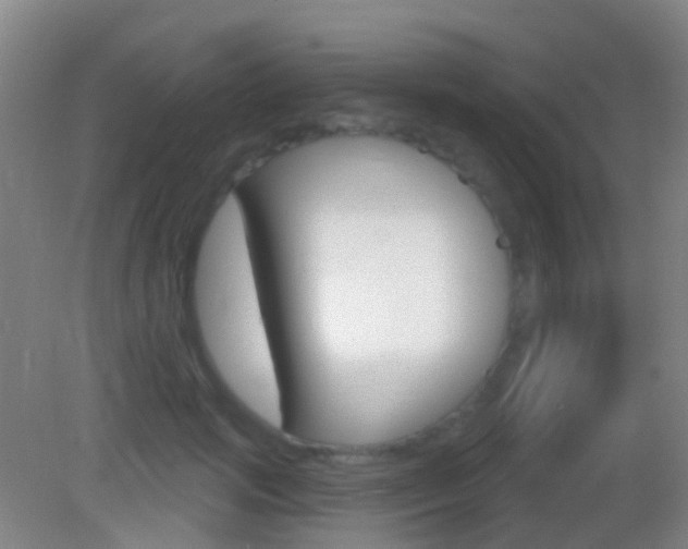 X0000083050749200702021010