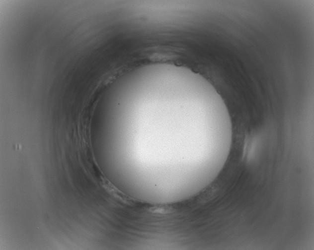 X0000083050755200702021010