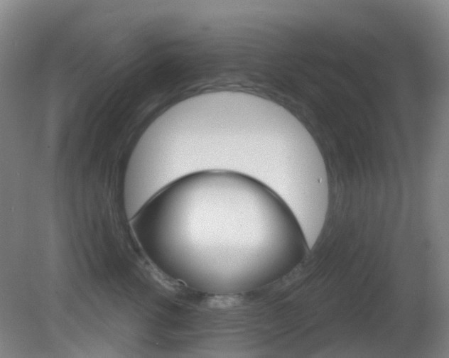 X0000083050762200702021010