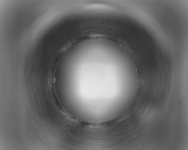 X0000083050763200702021010