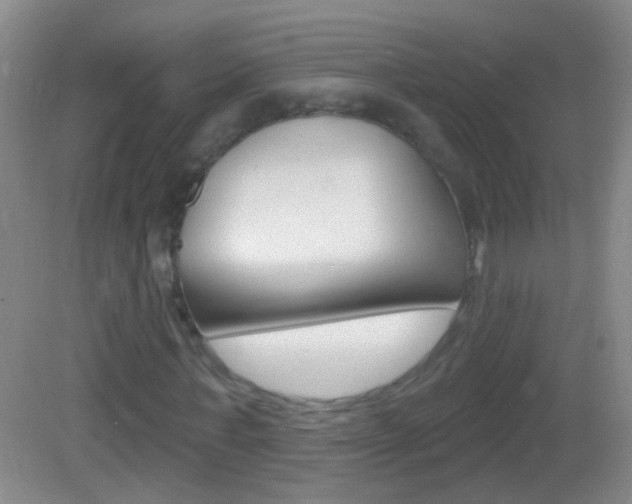 X0000083050771200702021009
