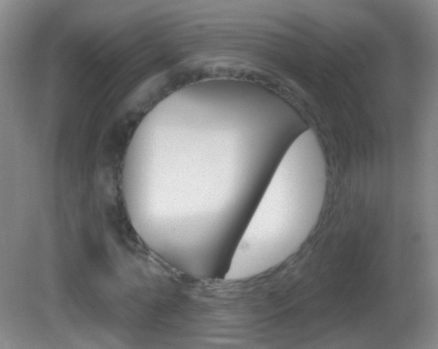 X0000083050774200702021009