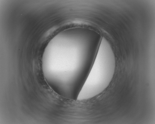 X0000083050776200702021009