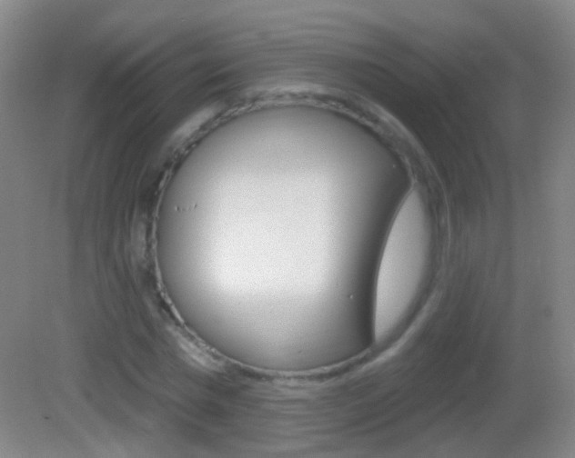 X0000083050777200702021009