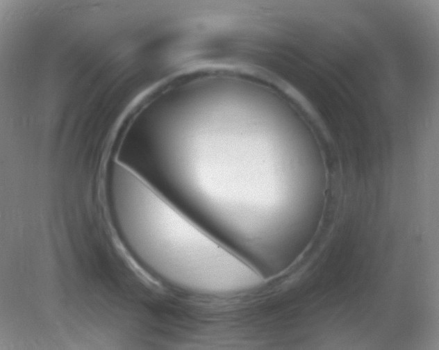 X0000083050791200702021009