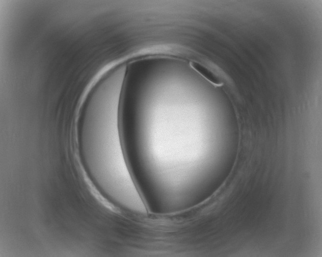 X0000083050792200702021009