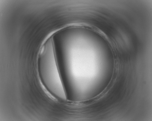 X0000083050795200702021009