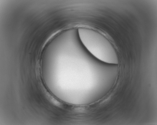 X0000083050798200702021009