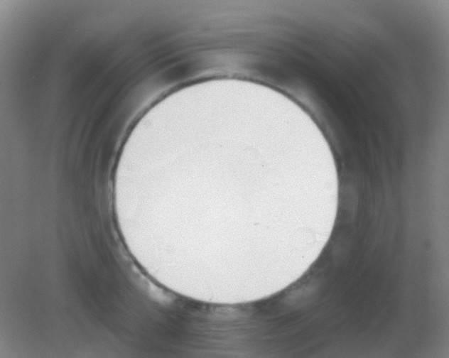 X0000083050807200702021008