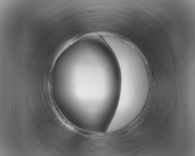 X0000083050813200702021008