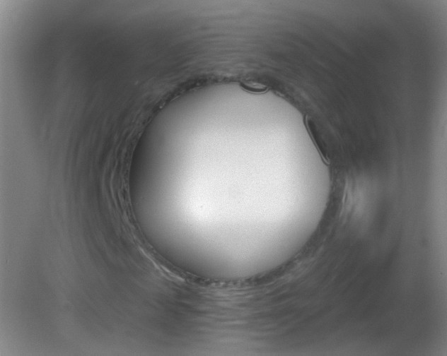 X0000083050817200702021008